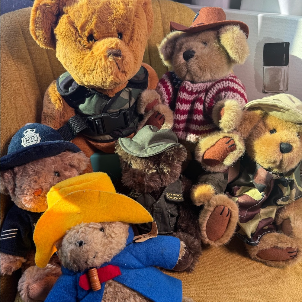 Charming Teddy Bear Collection with Colorful Hats